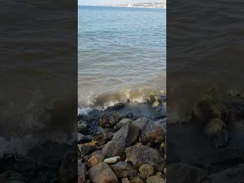 #shorts#lebanon #saida