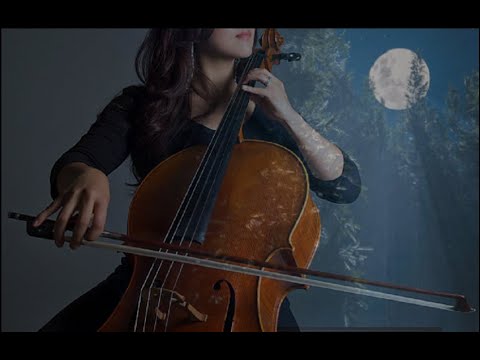 Tịnh tâm khúc - Hồng Trúc