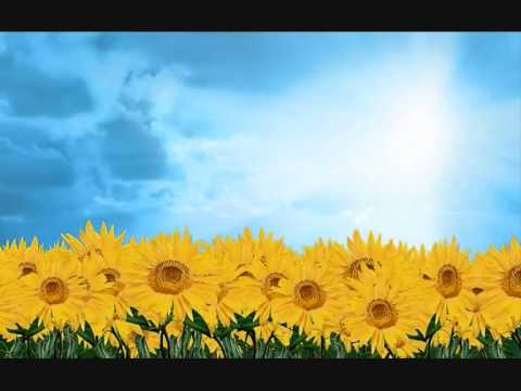 Asian Dream Song Piano Joe Hisaishi