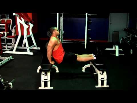 Brad Schoenfeld discusses his latest book "The M.A.X. Muscle Plan"