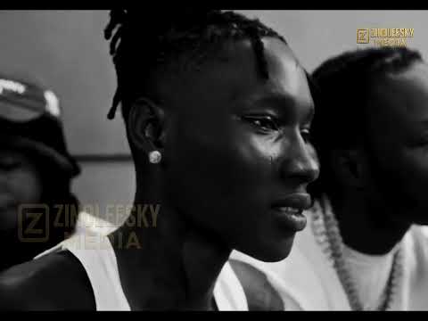 255, Naira Marley, Zinoleesky - Damage (Official Visualizer)