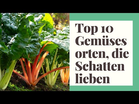 , title : 'Top 10 Gemüsesorten, die Schatten lieben'