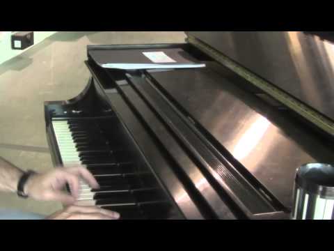 INSIGHTS: Polyphonia