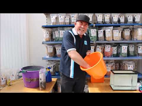 Gold Medal Groundbaits - Black Maj