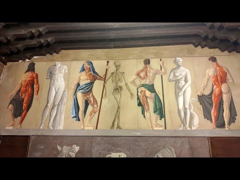 University of Padua, Padua, Veneto, Italy, Europe