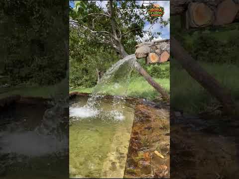 Fazenda à Venda em Faina - Goiás #shorts #agro #fazenda