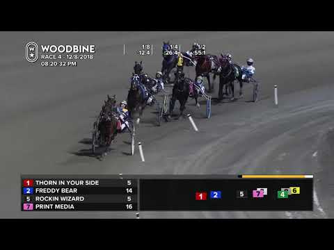 Woodbine, Mohawk Park, December 8, 2018 Race 4