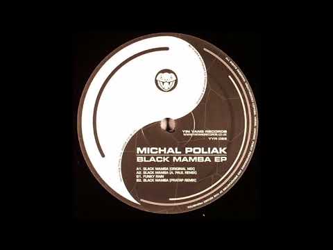 Michal Poliak - Black Mamba (A1) [YYR 026]