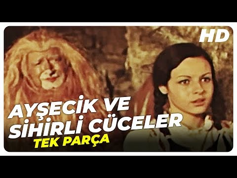 Kriterya Video