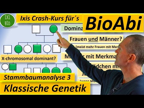 Klassische Genetik 3 Stammbaumanalyse 3 Y-chromosomaler Erbgang und X-chromosomal dominanter Erbgang