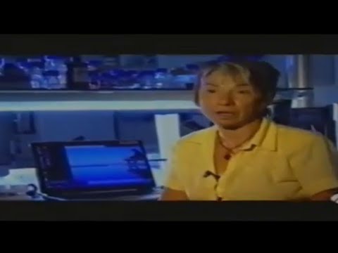 Documental LOS MUERTOS NOS HABLAN (El Arca Secreta) (PSICOFON&Iacute;AS Y PSICOIM&Aacute;GENES).