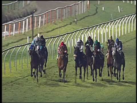 Galoppo 05/01/2017 - 6ª corsa