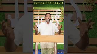 Download lagu Live highlight mp3