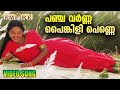 പഞ്ച വര്‍ണ്ണ പൈങ്കിളി പെണ്ണെ Panchavarna Painkili 