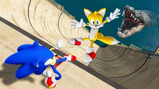 GTA 5 Sonic vs Tails Ragdolls & Fails Ep.3 [Euphoria Physics / Funny Moments]