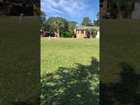 Samit play new doggie