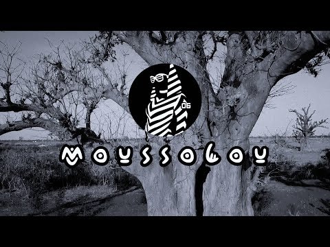 O'SISTERS - Moussolou (Official Video)