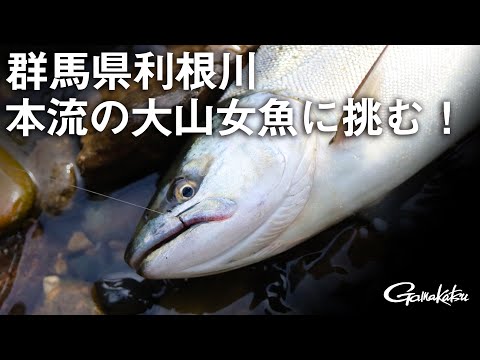 【G WORLD】＃9　群馬県利根川・本流の大山女魚に挑む！
