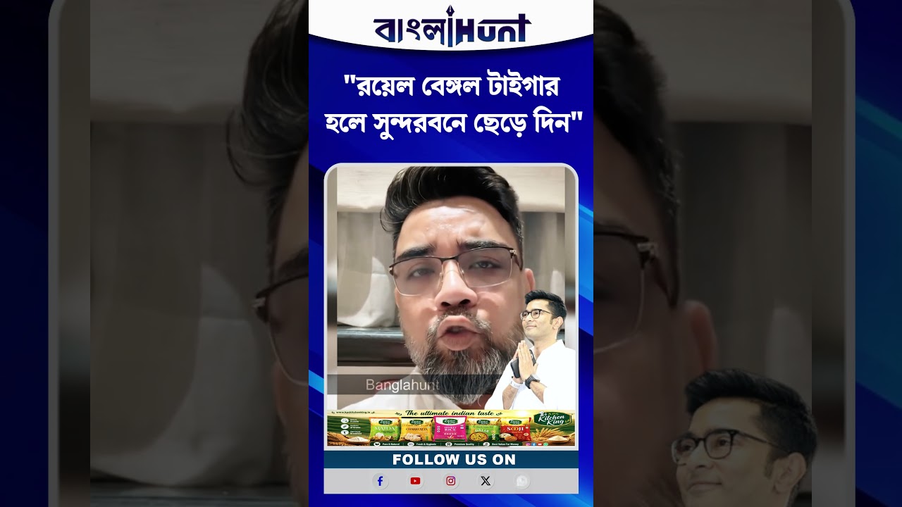 "রয়েল বেঙ্গল টাইগার হলে সুন্দরবনে ছেড়ে দিন দিদি" অভিষেককে তীব্র কটাক্ষ ঋজু দত্তের