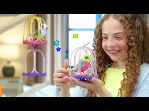 DigiBirds - Single Pack Asst