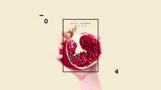 Darren Ashley - Still Storm