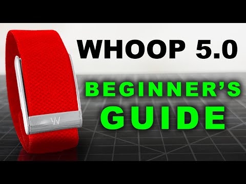 Whoop 5.0 - Ultimate Beginner’s Guide 2025