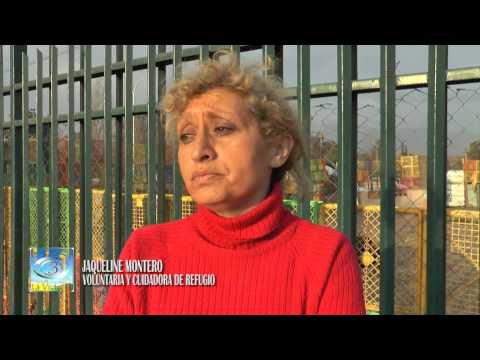 Señal 3 La Victoria REFUGIO PARA PERROS EN LA COMUNA DE PAC URGENTE