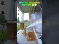 Top 7 Sora Ai Water Boarding Dog Moments 🥀😭🙏 #shorts #dogs #funnydogs #meme #compilation #677 #fyppp
