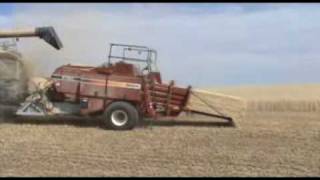 preview picture of video 'Harvest 2008'