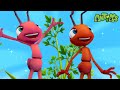 Ant Farm Food 60 Minutes Of Antiks By Oddbods Kids Cartoons Party Playtime
