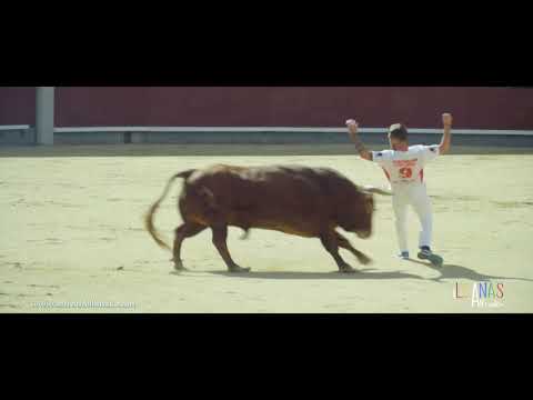 AVANCE Final Campeonato de España de Recortadores