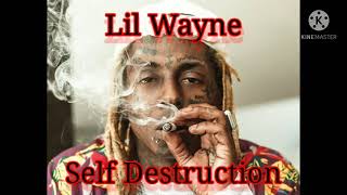 Self Destruction ny Lil Wayne