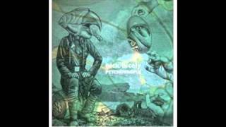 Nick Nicely - The Doors Of Perception