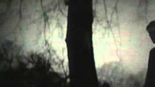 Peter Murphy - All Night Long