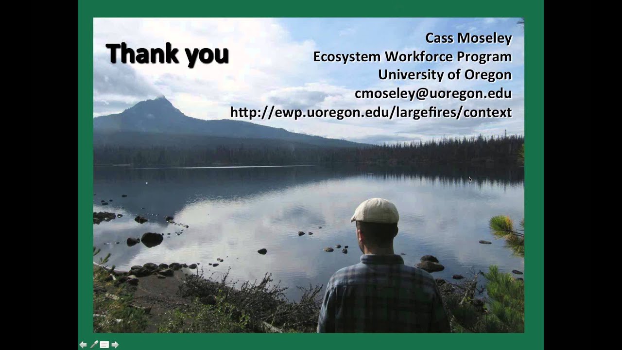 The Economic Impact of Large Wildfires