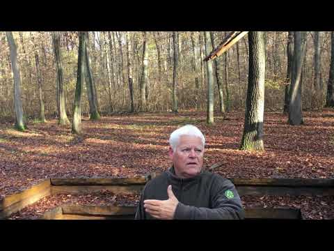 Egy nap a munkahelyemen - SEFAG Erdészeti és Faipari Zrt.