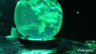 アートアクアリウム