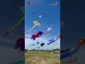 Tamil Nadu International Kite Festival 2024 Tamil Nadu Tourism