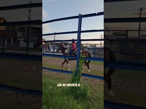 Te invito a que me acompañes en este viaje por Río Chico y todo el municipio Páez