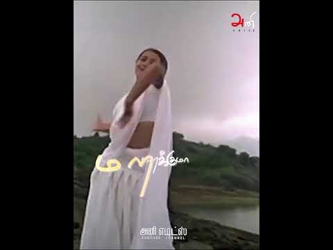 Thai mugam paartha naal song whatsapp status | Sha la la ghilli song whatsapp status | Anieditz
