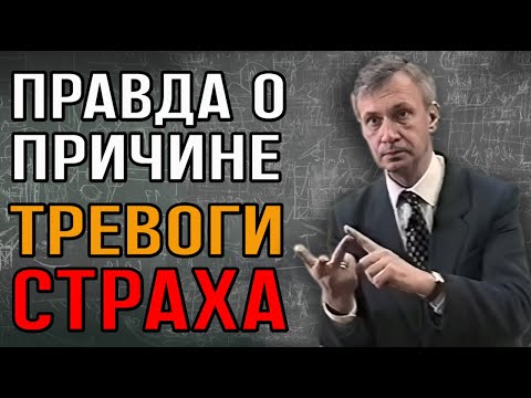 Это видео объяснит вашу тревогу лучше любой терапии