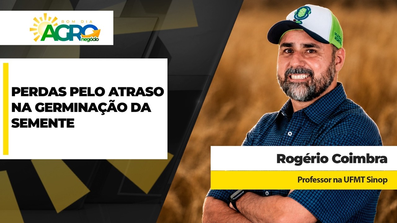 Produtor deixa de colher de 10 a 12 scs/ha de soja a cada dia de atraso na emergência de plântula