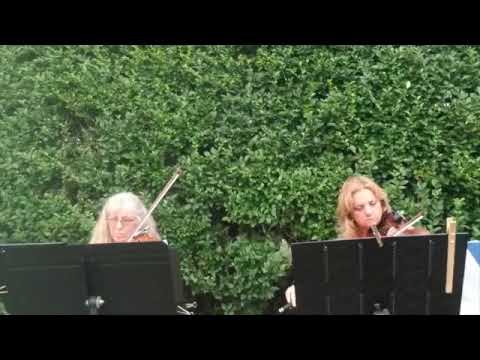 Promotional video thumbnail 2 for Classy Strings