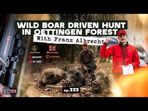 Wild Boar DRIVEN hunt in Oettingen Forest| with Franz Albrecht/Pogonski lov na Divlje Svinje E333