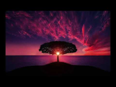 🎼Hino Avulso - Amizade Valiosa