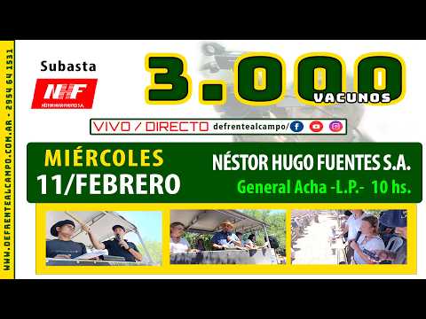 en VIVO  - 10 hs. - REMATE de NÉSTOR H. FUENTES S.A. - MIÉ. 11 / FEB. / 2026 - GRAL. ACHA    -L.P.-
