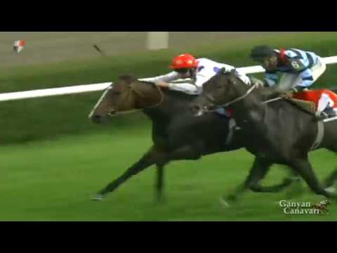 Halis Karataş ve Şampiyon Bold Pılot 1996 yılındaki Unutulmaz Enternasyonel Boğaziçi Koşusu