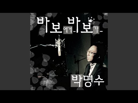 바보에게... 바보가