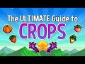 The ULTIMATE Guide to Crops - Stardew Valley