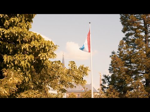 Jiddwereen Jiddwereen - Most Popular Songs from Luxembourg